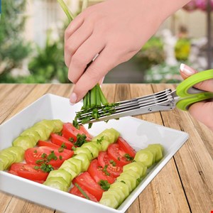 قیچی سبزی خردکن